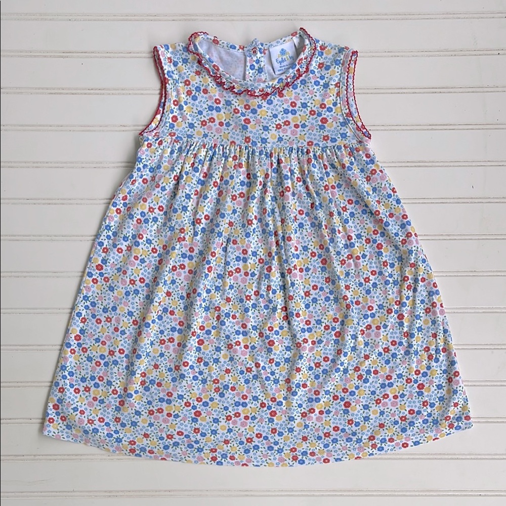 EYELET & IVY VGUC 100% Pima Cotton Multicolor Floral Dress